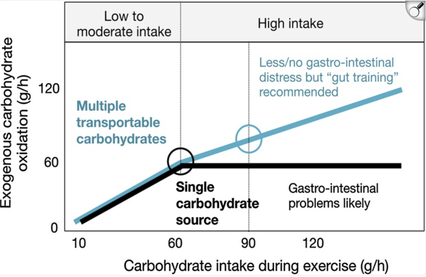 Carb Ratio